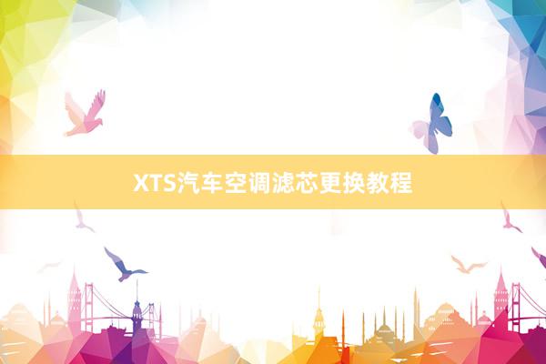 XTS汽车空调滤芯更换教程